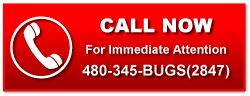 Call Now Call Now