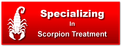 Scorpion Treatments Scorpion Specialized Treatment